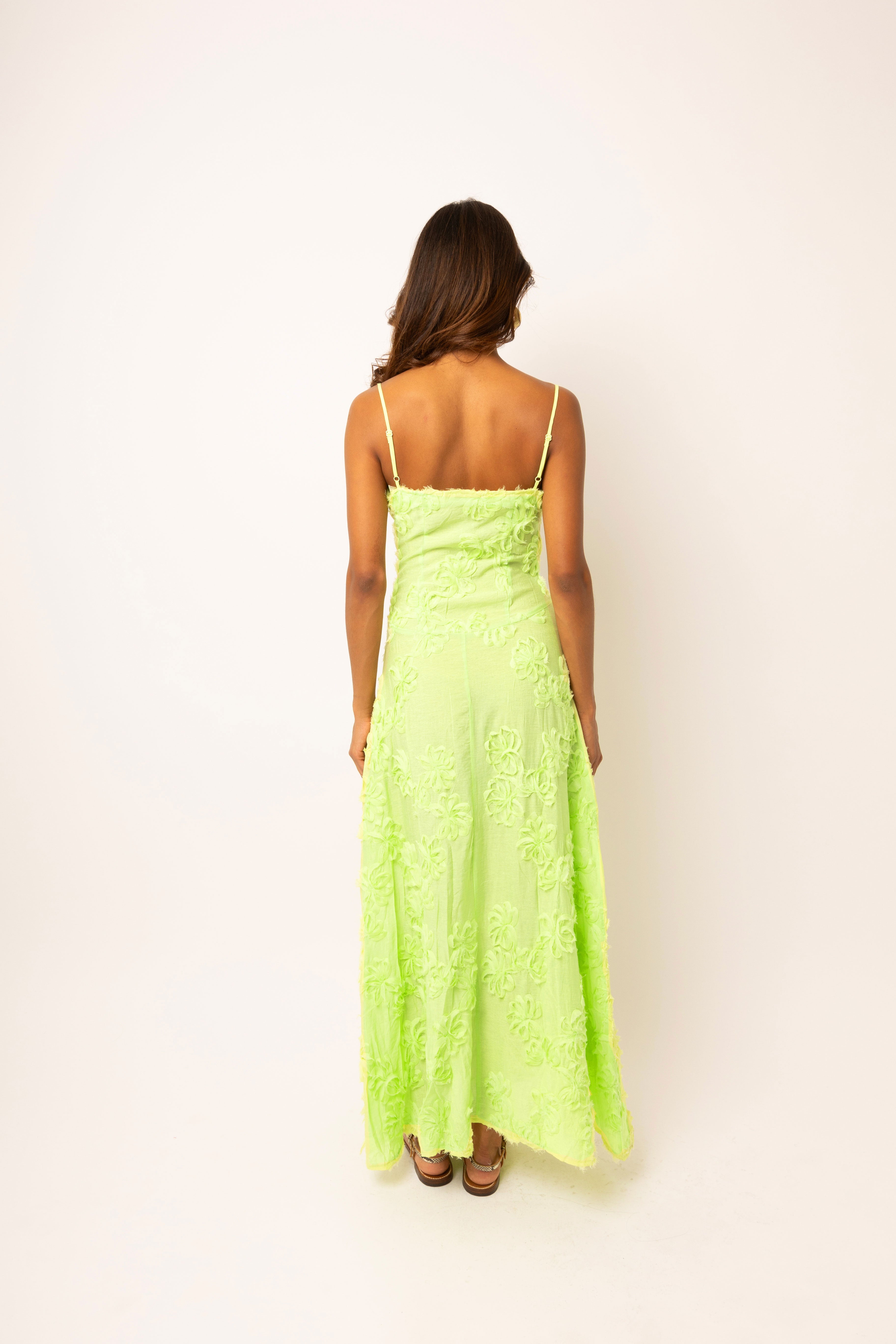 Sofia Chartreuse Green Semi Sheer Maxi Dress