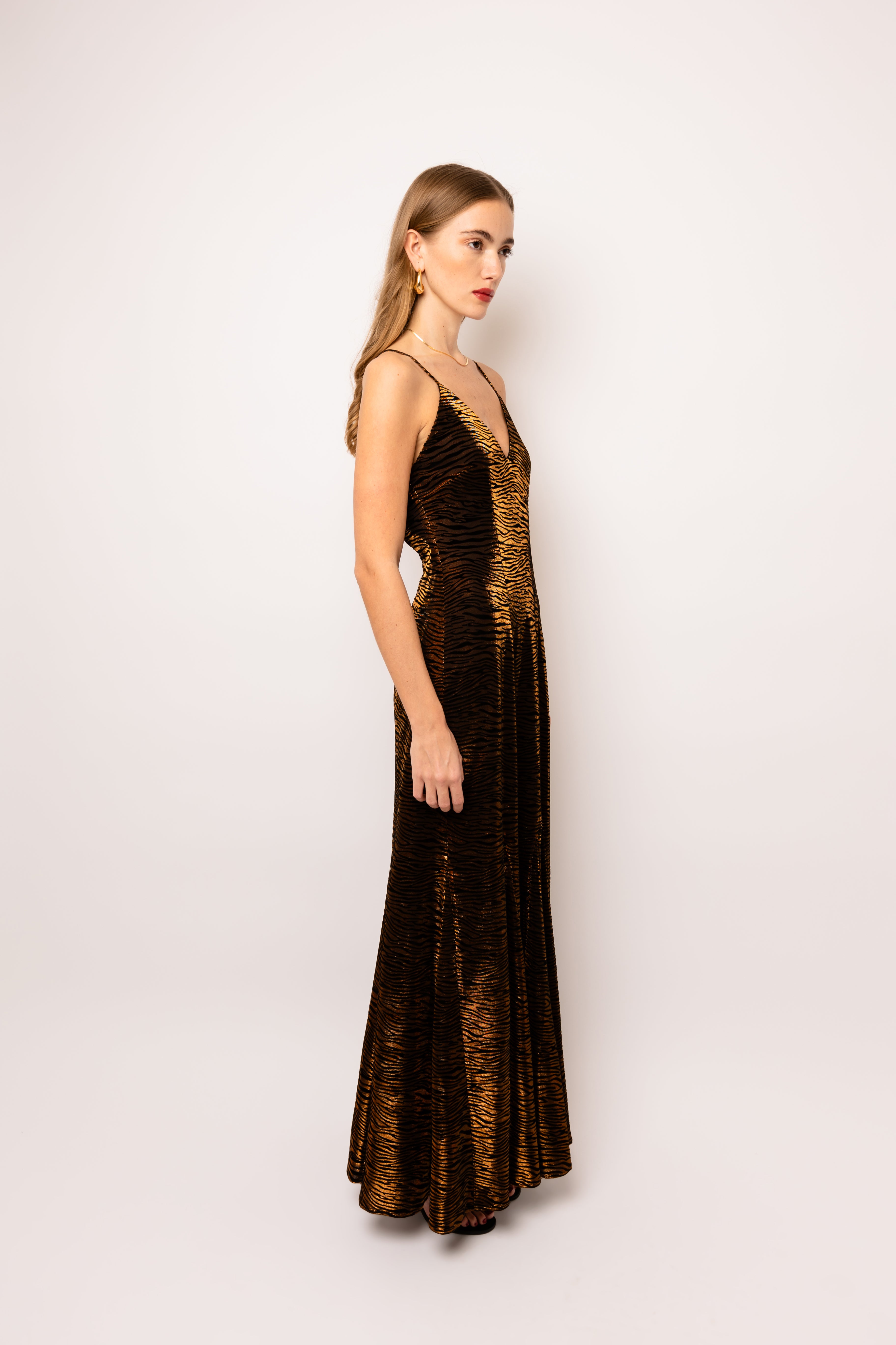 Talia Brown Tiger Velvet Burnout Maxi Dress