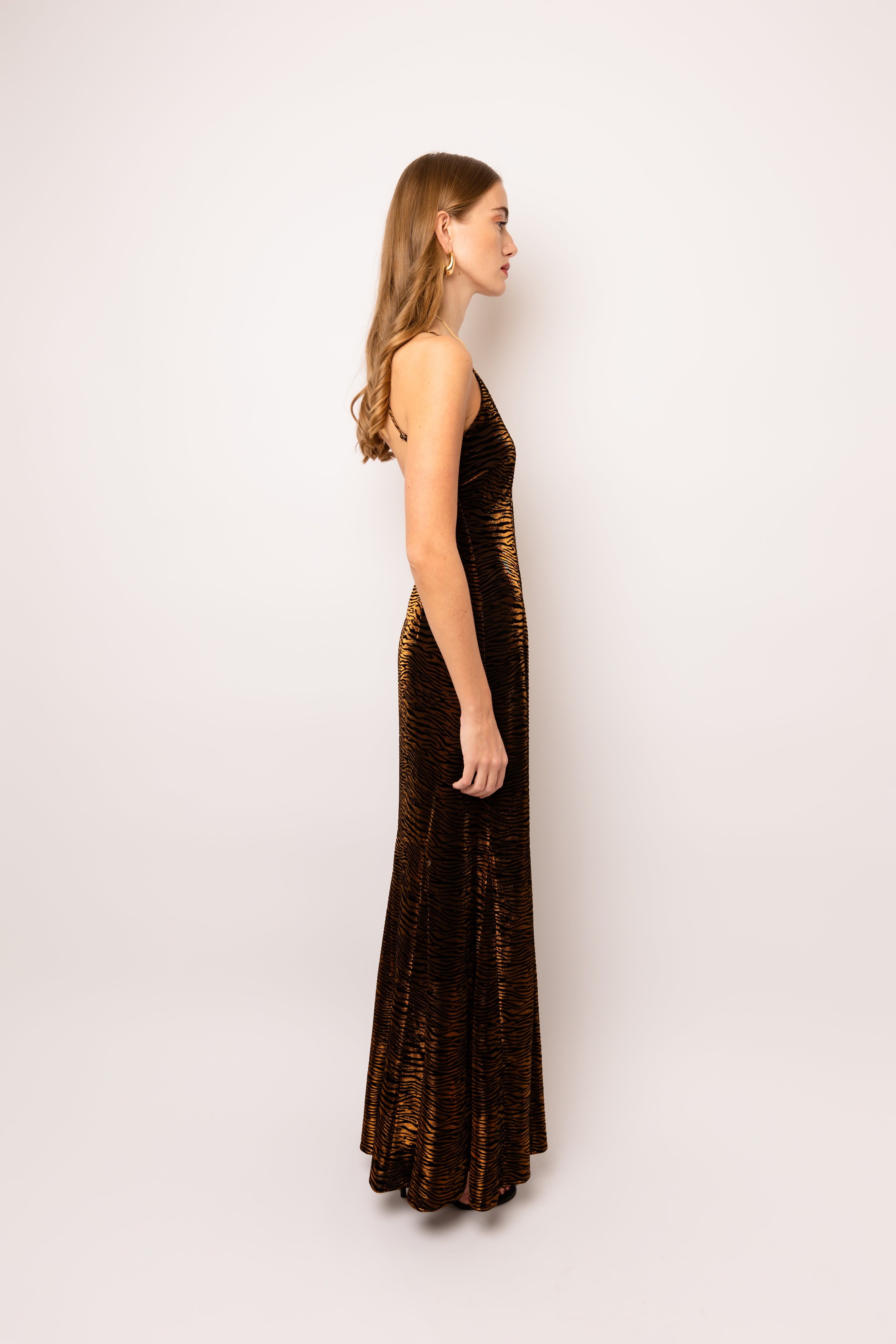 Talia Brown Tiger Velvet Burnout Maxi Dress