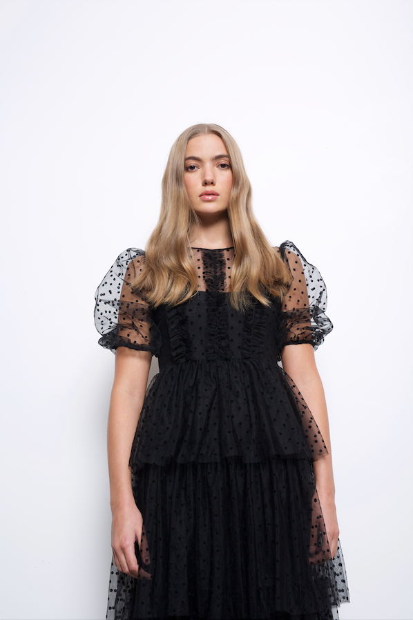 Annie Black Spot Mesh Dress